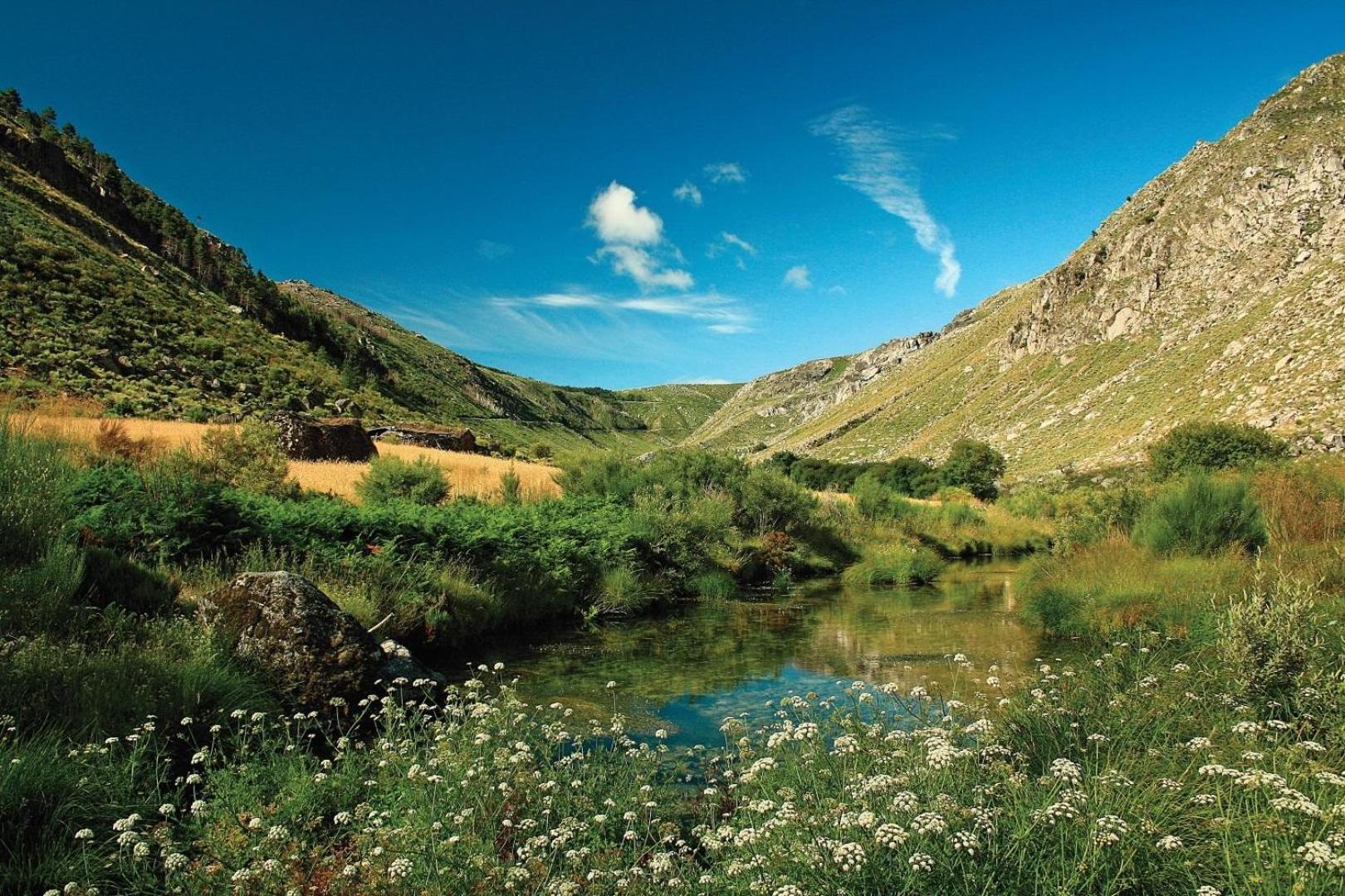 Вилла Quinta Da Estrela Ponte Nova Экстерьер фото